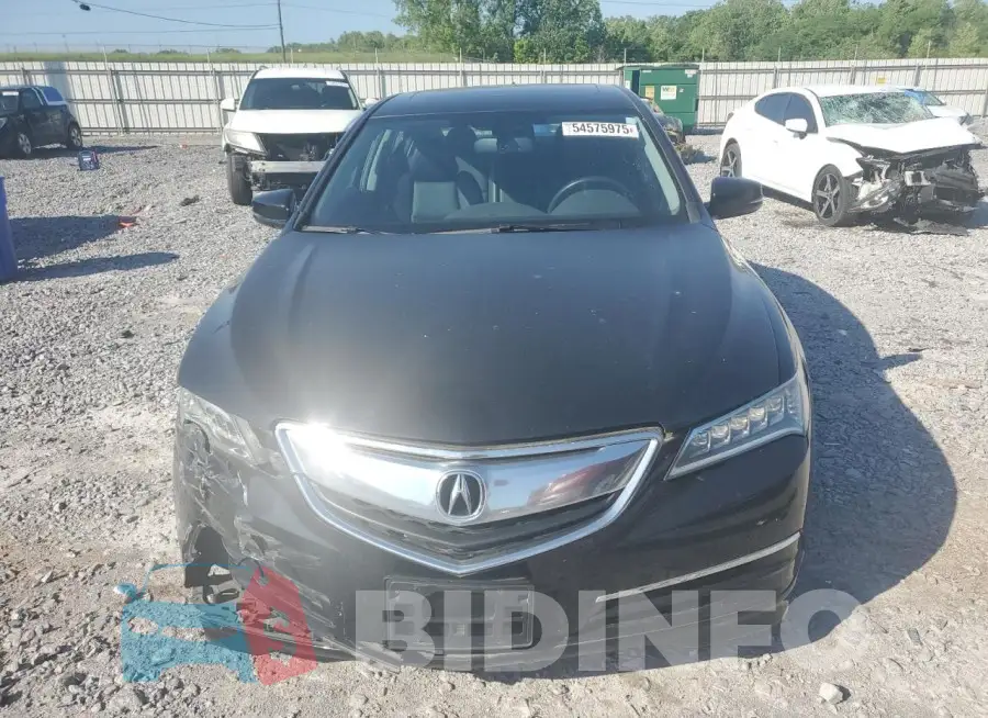19UUB1F37GA001686 Photo# 5