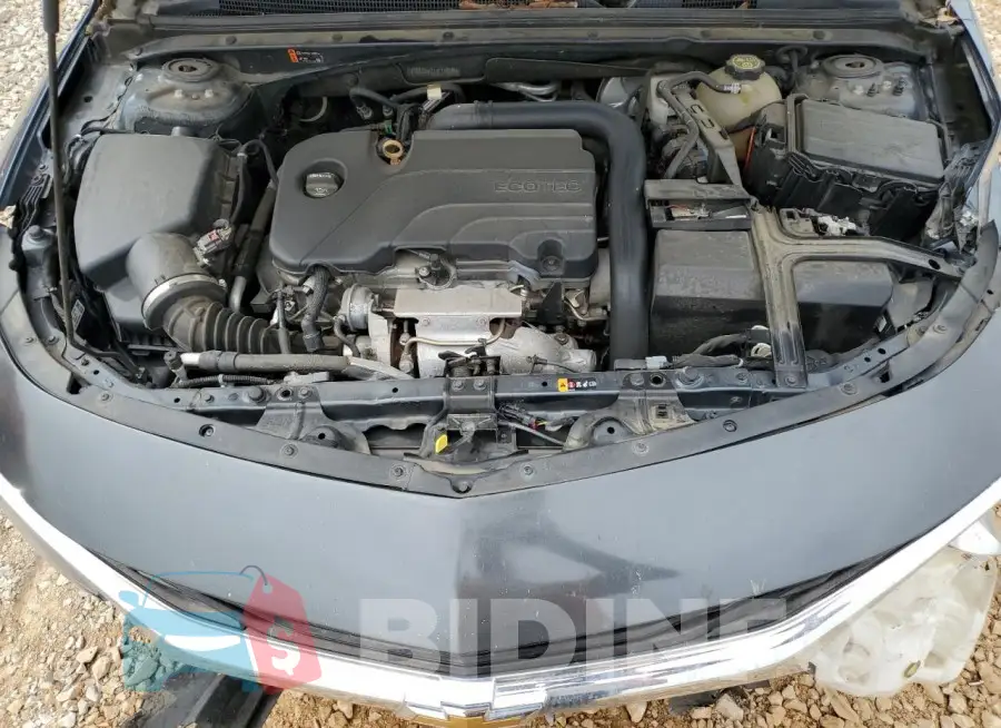 1G1ZD5ST1KF184244 Photo# 11