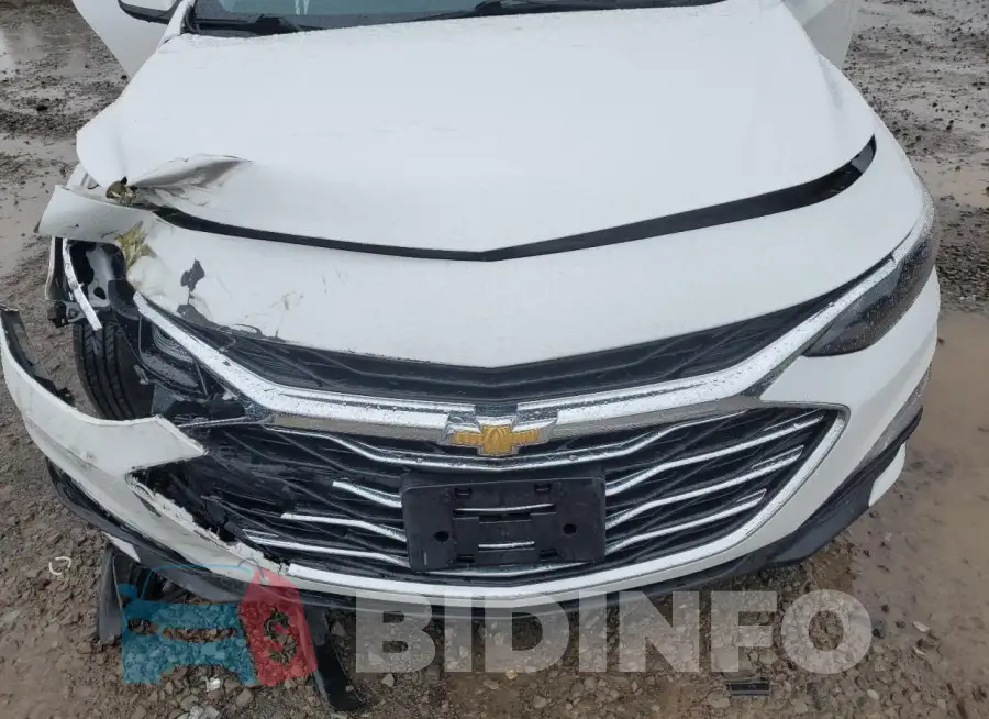 1G1ZD5ST8KF187206 Photo# 11