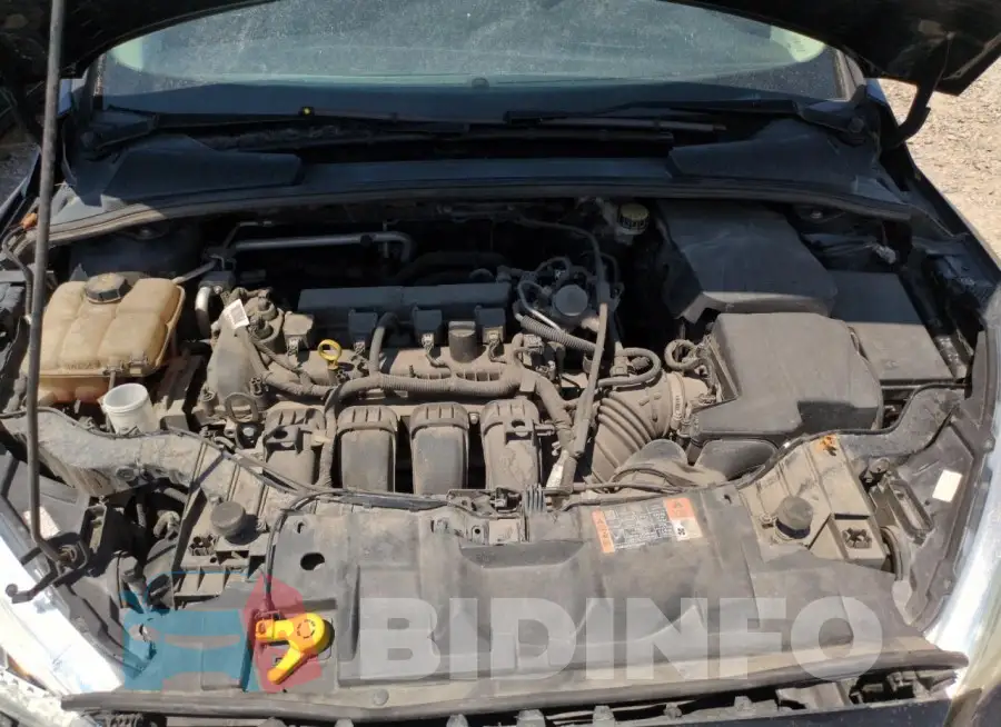1FADP3F22GL383414 Photo# 11