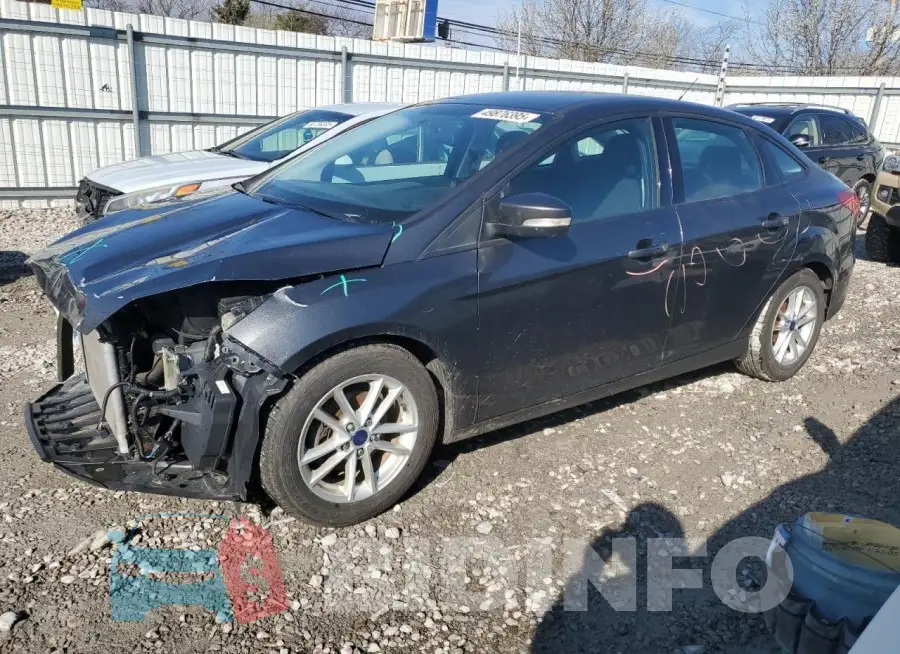 1FADP3F23GL384944 Photo# 1