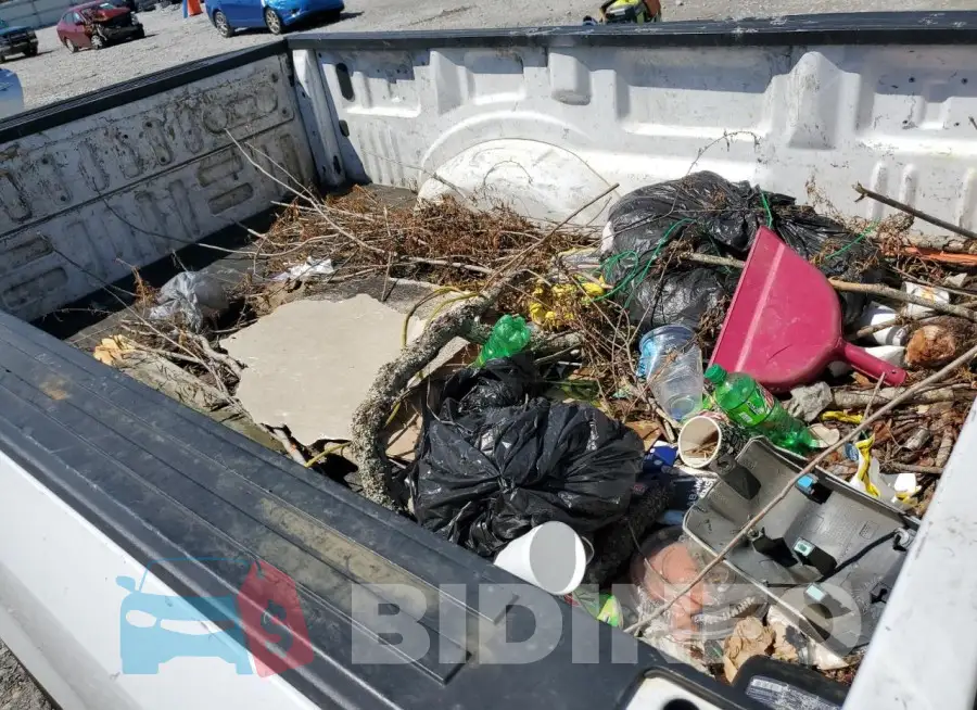 1FTMF1CB2JKC31099 Photo# 12