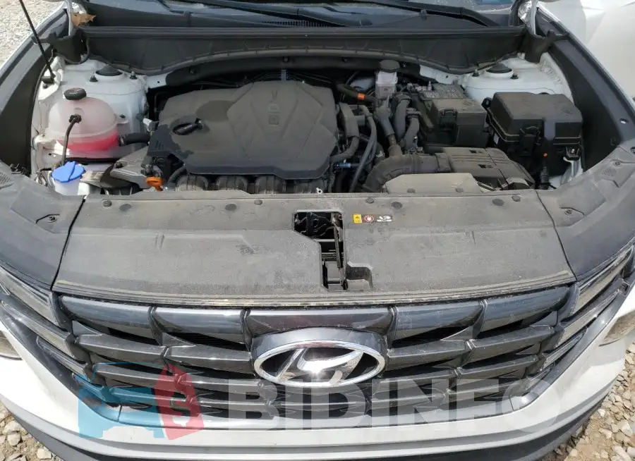 5NMJF3AE0PH293231 Photo# 12