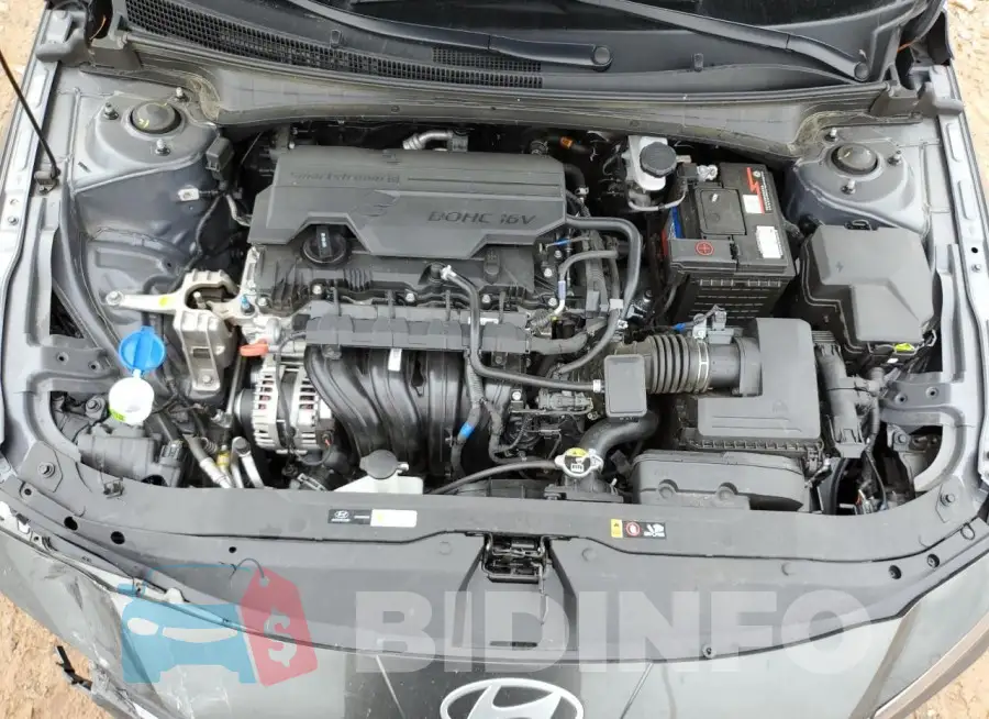 KMHLM4DG7RU768981 Photo# 11