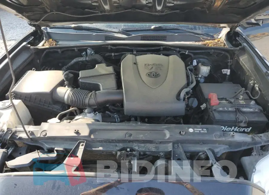 3TMCZ5AN0KM246282 Photo# 11