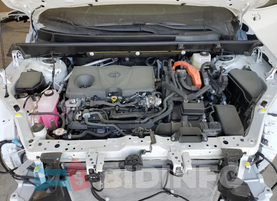 JTME6RFV8SD572974 Photo# 12