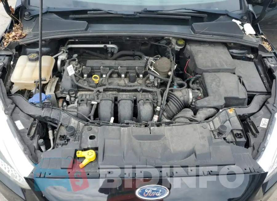 1FADP3F21GL262289 Photo# 11