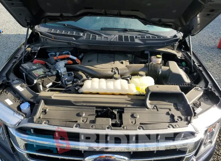 1FTFW1ED7PFA94461 Photo# 11