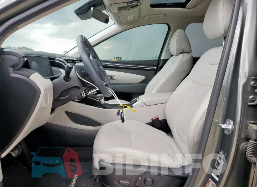5NMJF3AE6PH206917 Photo# 7