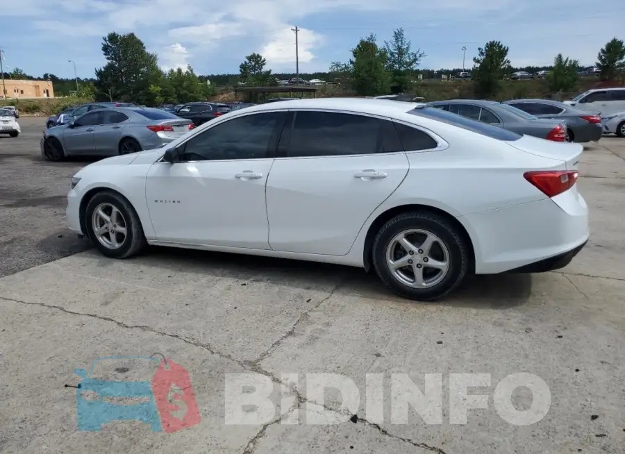 1G1ZB5ST5HF242564 Photo# 2