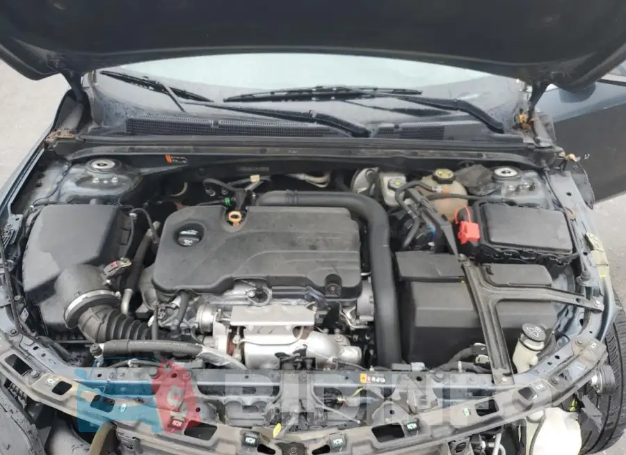 1G1ZD5ST1KF169307 Photo# 11