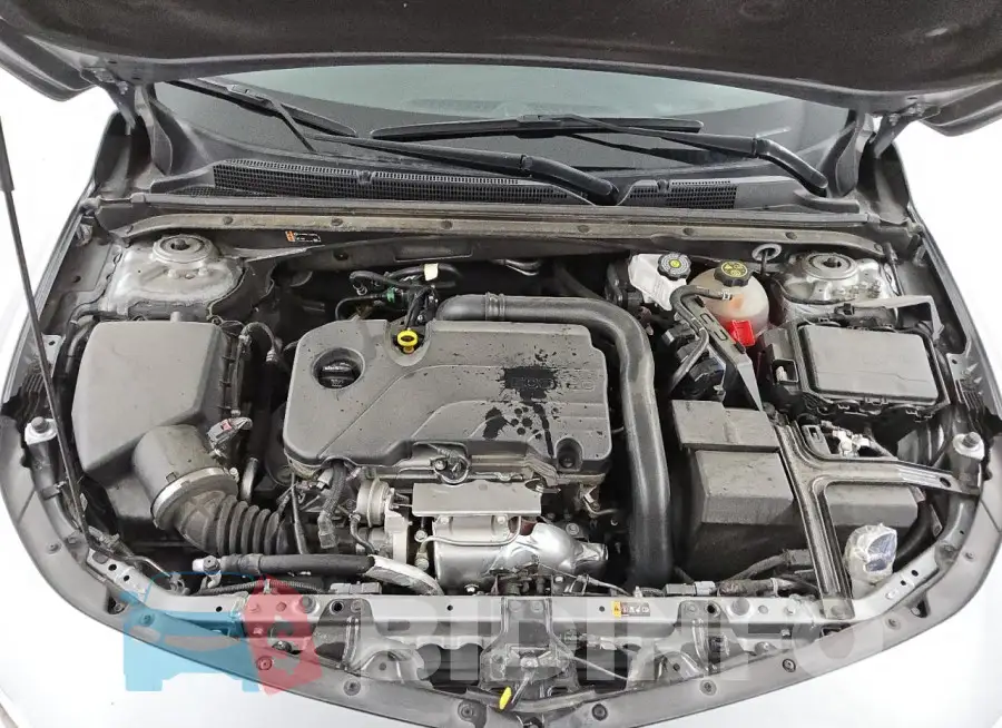 1G1ZD5ST1RF116682 Photo# 11