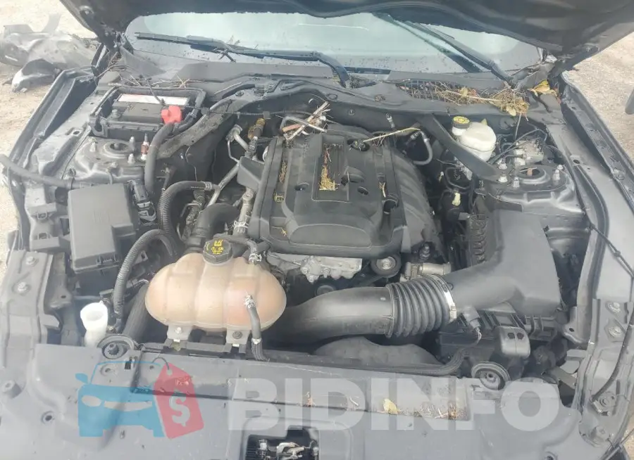 1FATP8UH3K5181663 Photo# 11