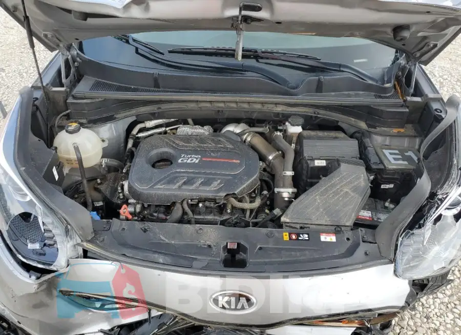 KNDPR3A64M7871621 Photo# 12