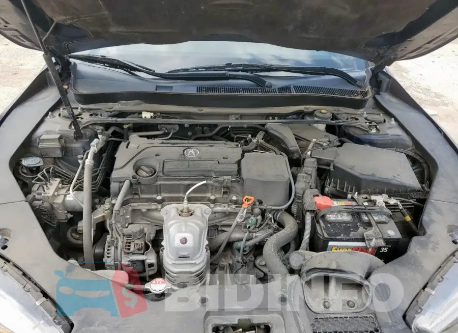 19UUB1F38LA010309 Photo# 11