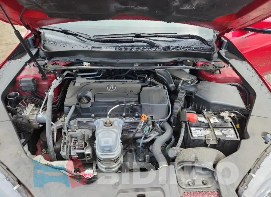 19UUB1F61KA007518 Photo# 11