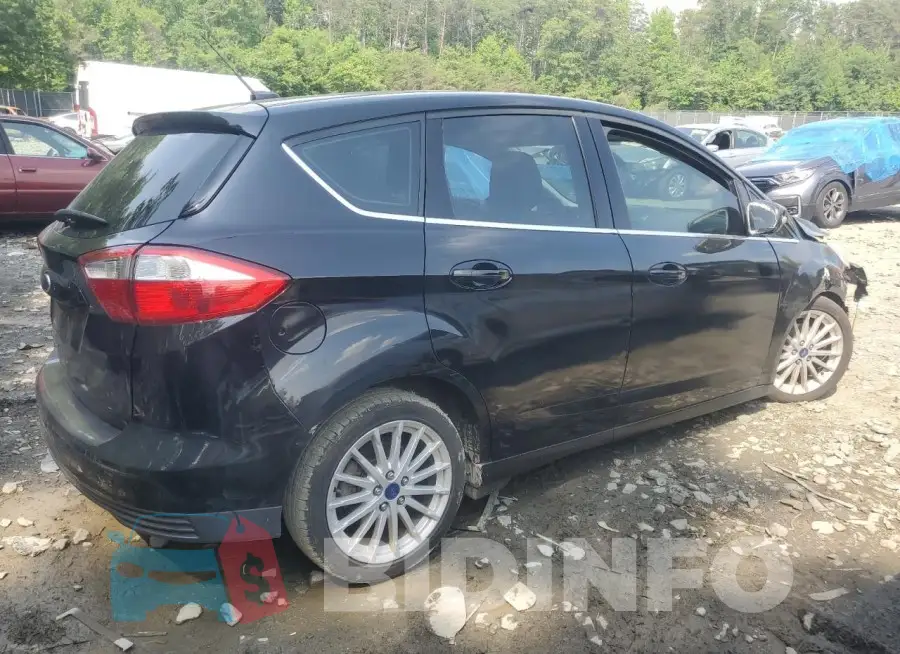 1FADP5CU2GL114699 Photo# 3