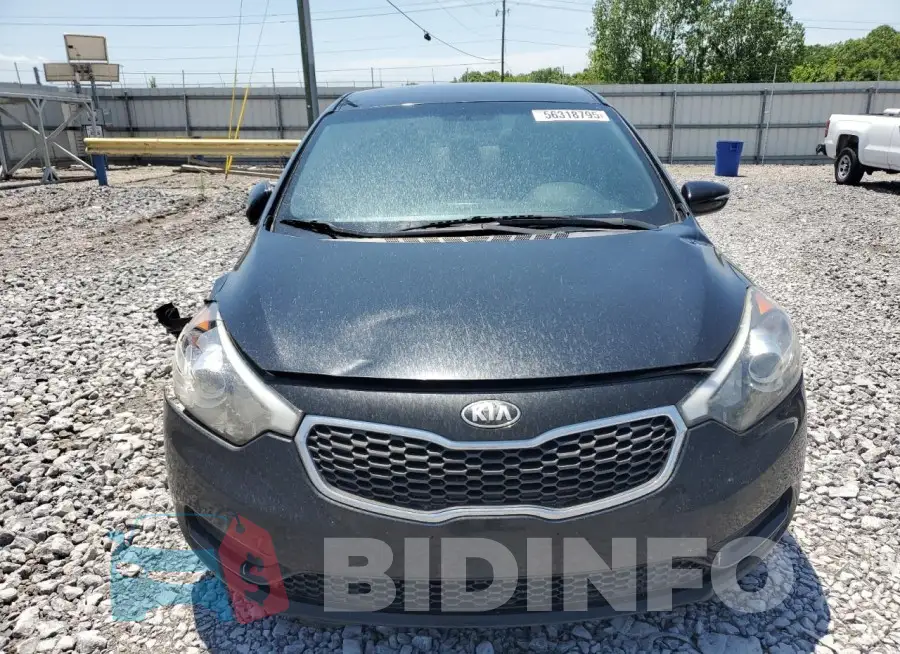KNAFX4A65G5437986 Photo# 5