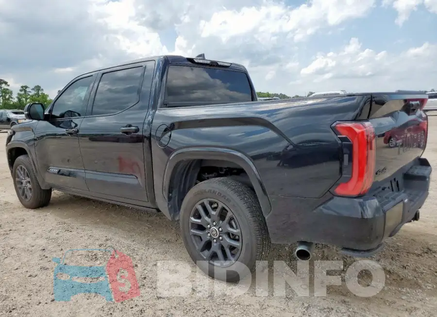 5TFNA5DB1PX121696 Photo# 2
