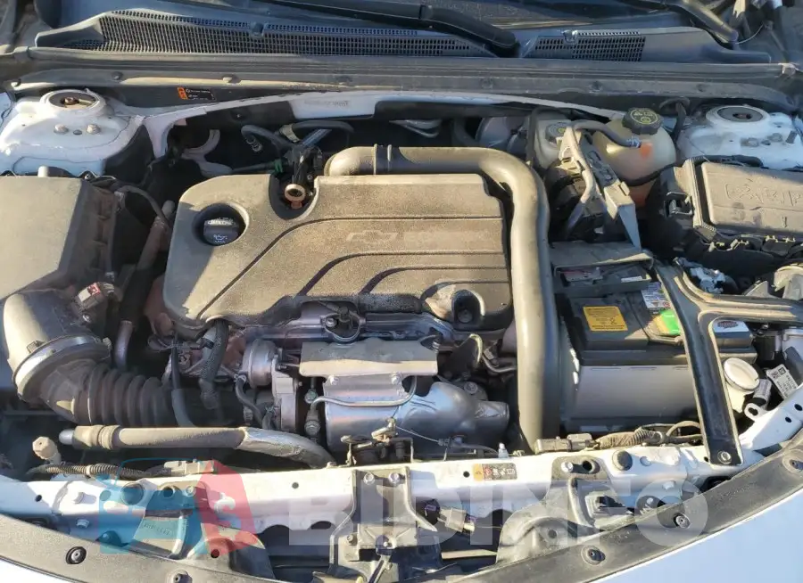 1G1ZD5ST5JF133215 Photo# 11
