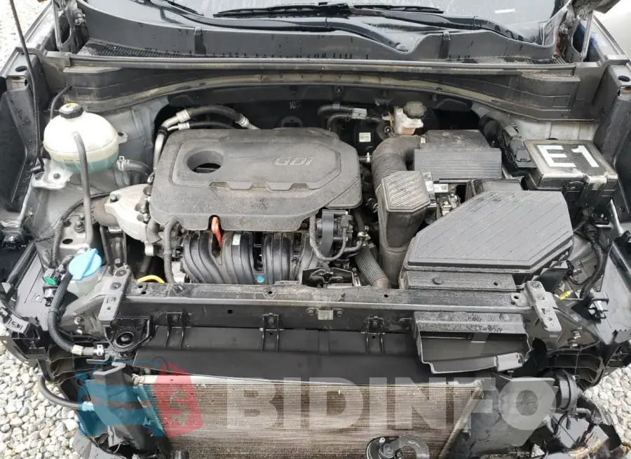 KNDPM3AC2L7761363 Photo# 12
