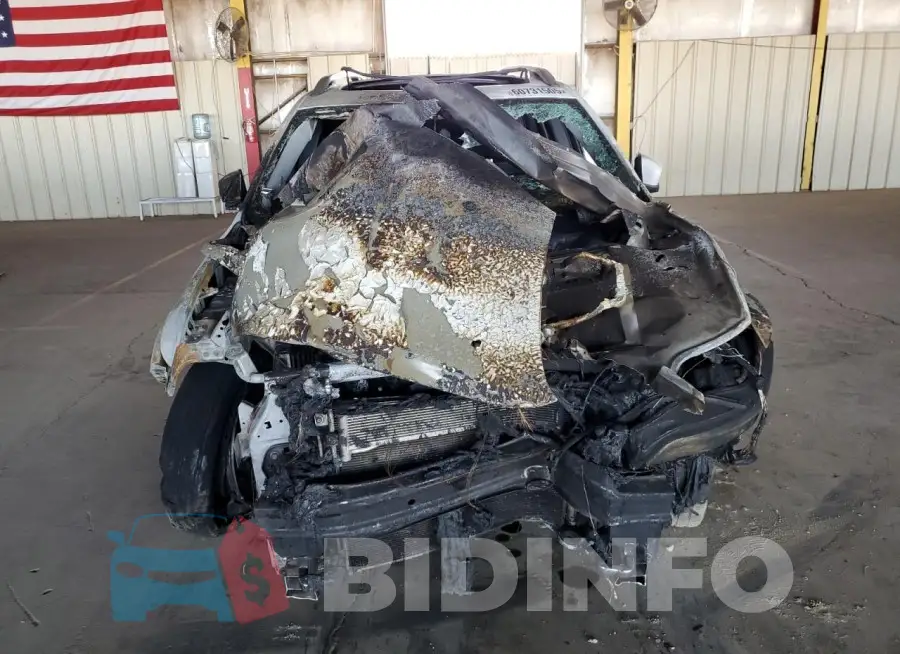 1C4PJLDX5MD209107 Photo# 5