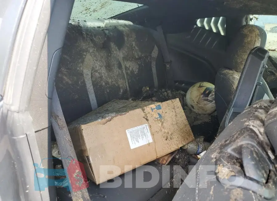 1G1FB1RS9M0123633 Photo# 10