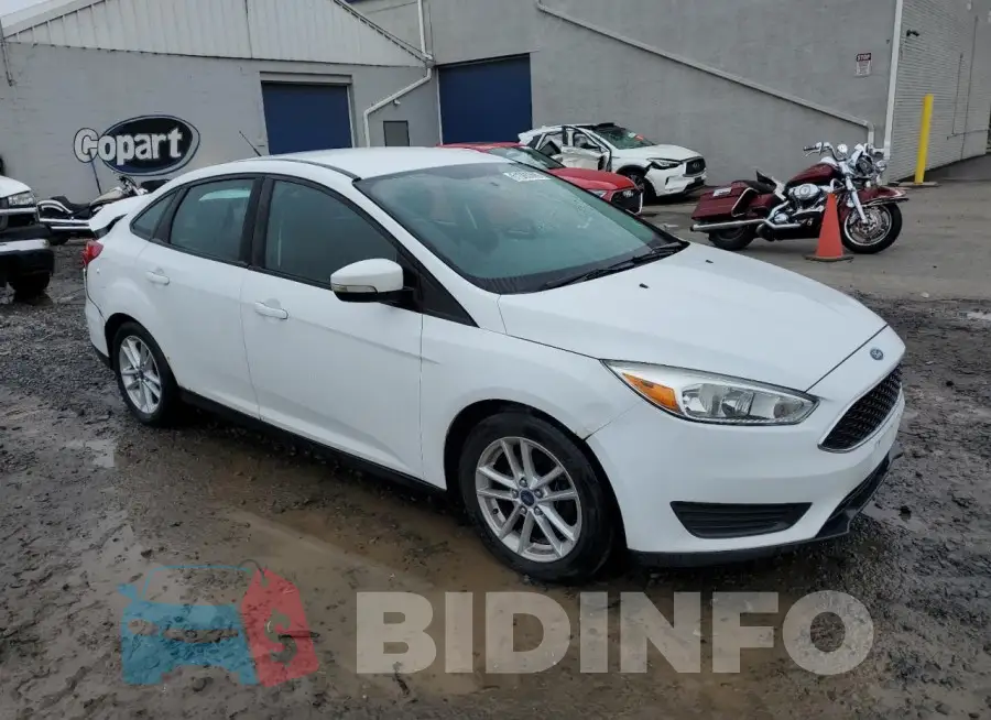 1FADP3F22GL260860 Photo# 4