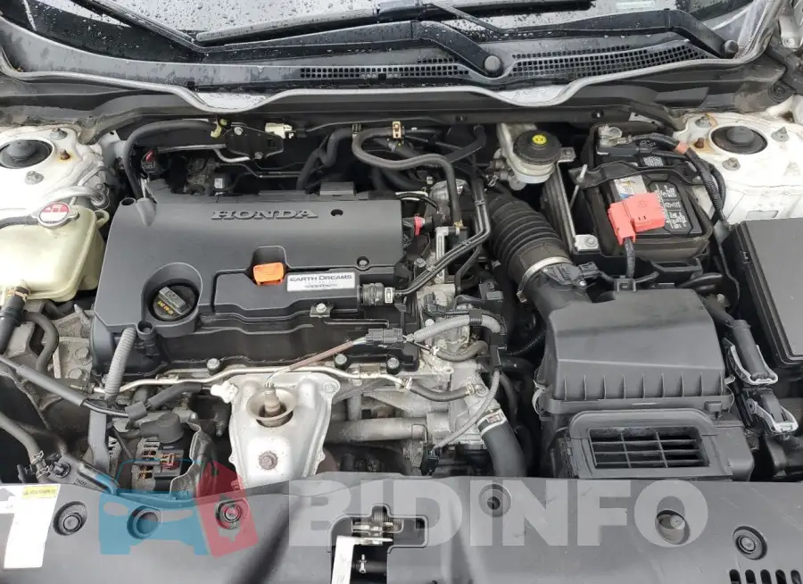 19XFC2F56GE214962 Photo# 11