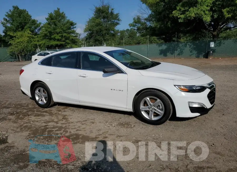 1G1ZB5ST5KF123579 Photo# 4
