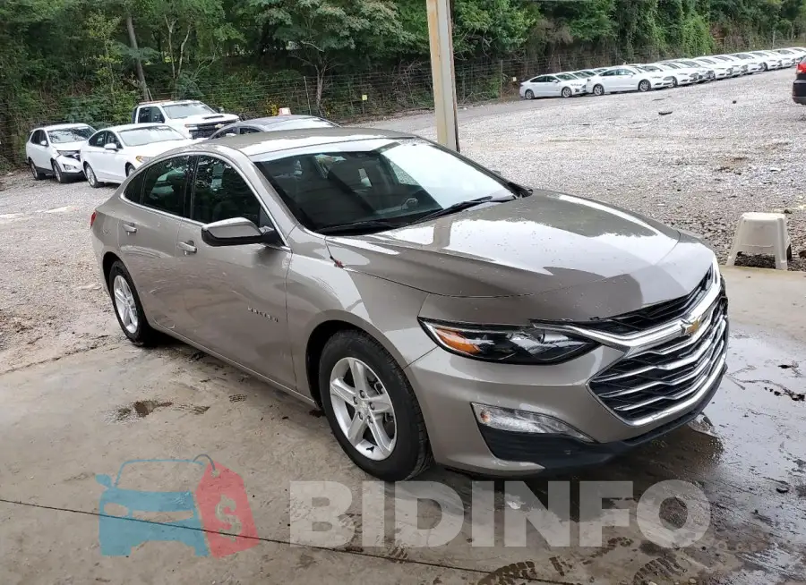 1G1ZD5ST7PF168024 Photo# 4