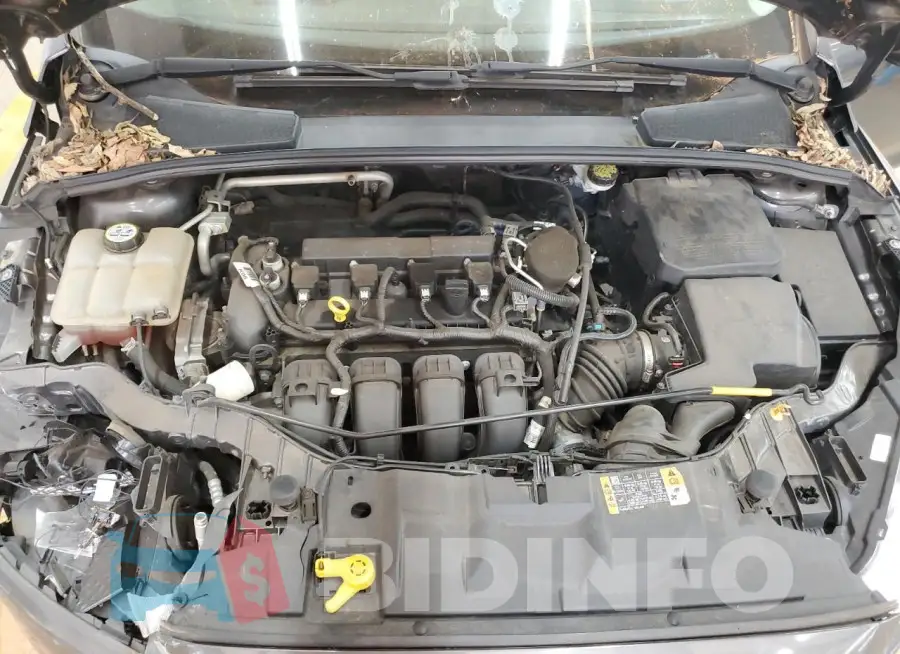 1FADP3K24GL205087 Photo# 11