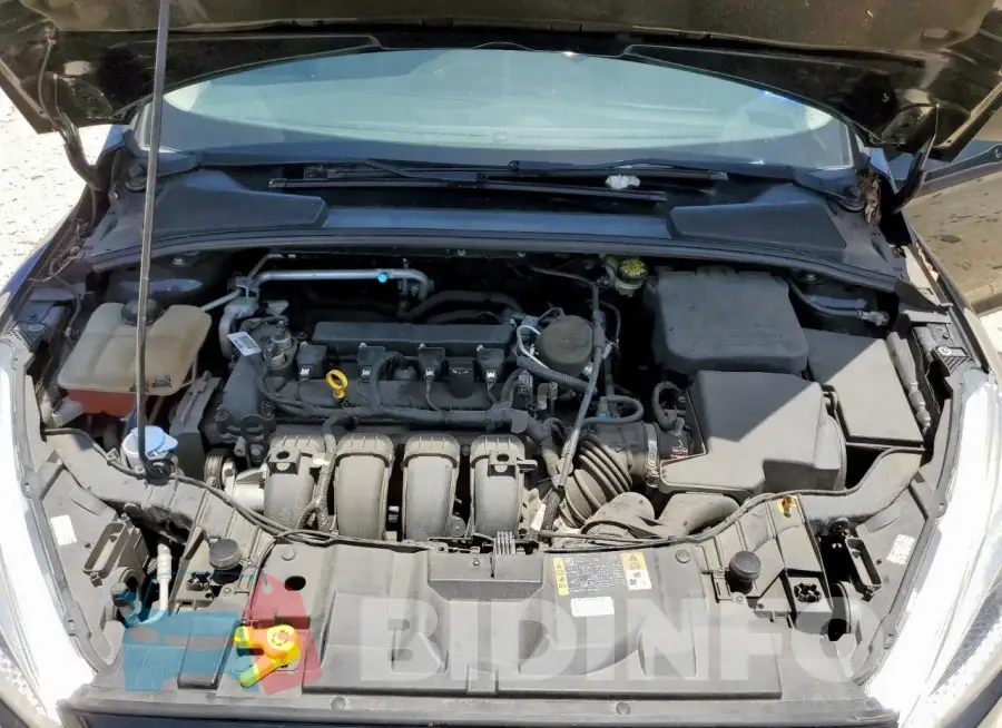 1FADP3E24GL226923 Photo# 11