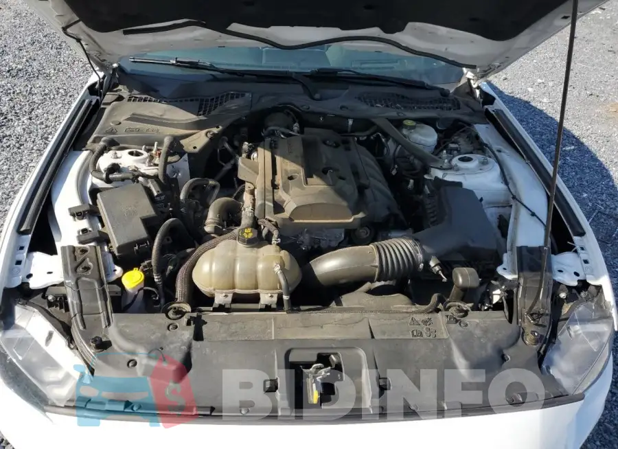 1FATP8UH4K5159932 Photo# 11