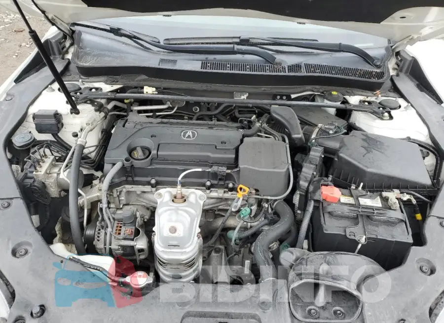 19UUB1F30GA013419 Photo# 11