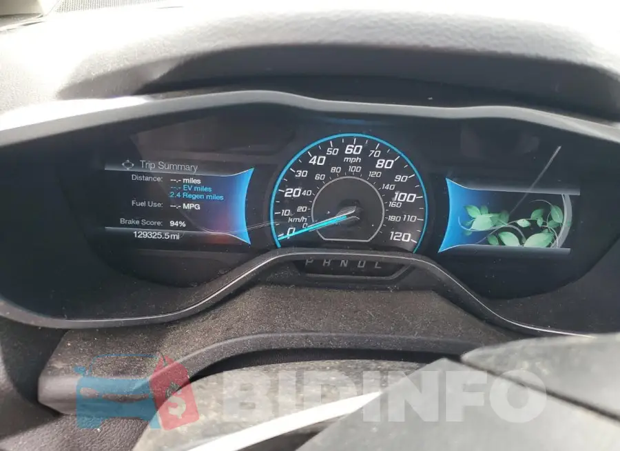1FADP5AU7GL107332 Photo# 9