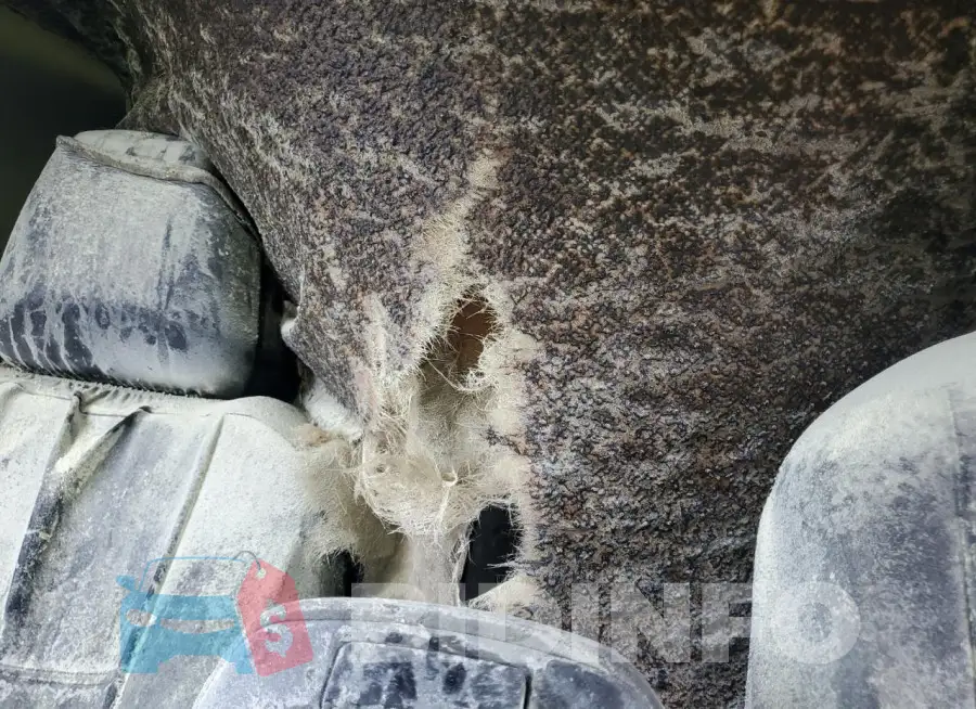 2T3W1RFV8NW190812 Photo# 10