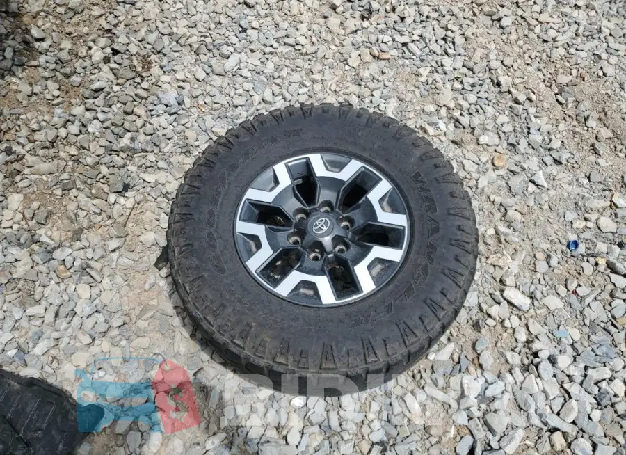 3TMDZ5BN0GM001332 Photo# 12