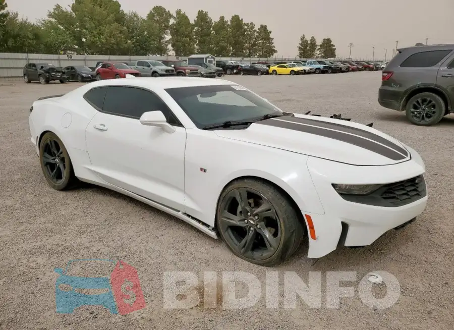 1G1FB1RS7K0157504 Photo# 4