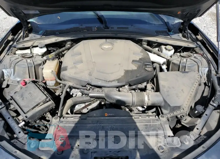 1G1FB1RS7K0158197 Photo# 11