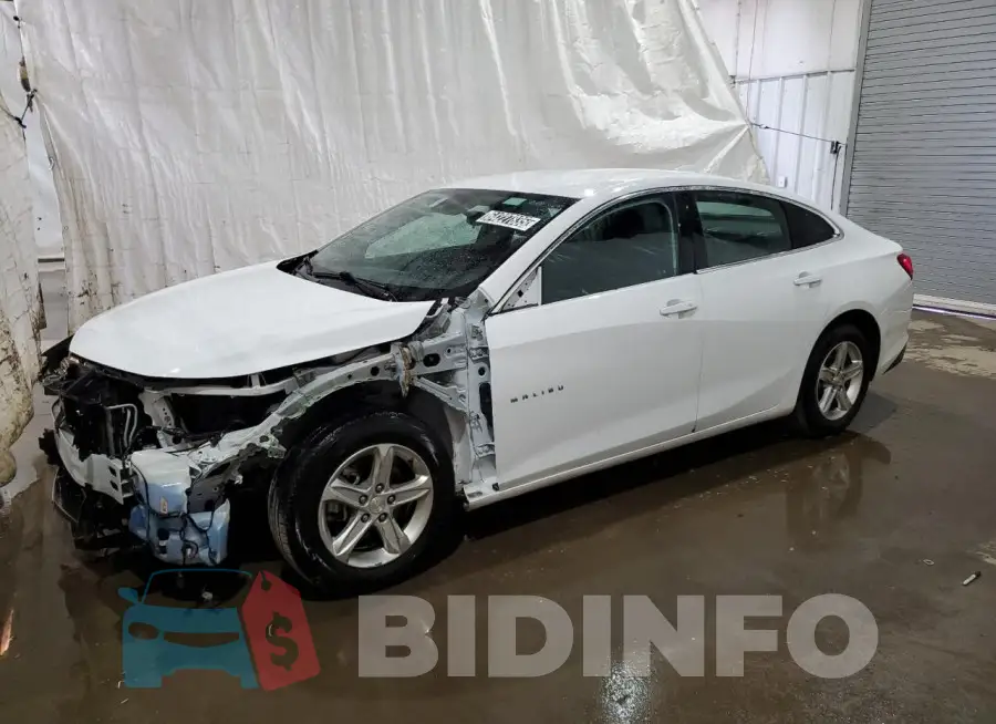 1G1ZD5ST8PF151247 Photo# 1