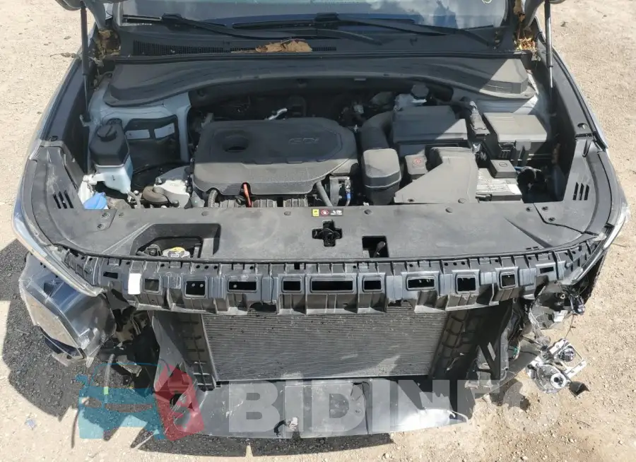 5NMS3CAD4LH238568 Photo# 11