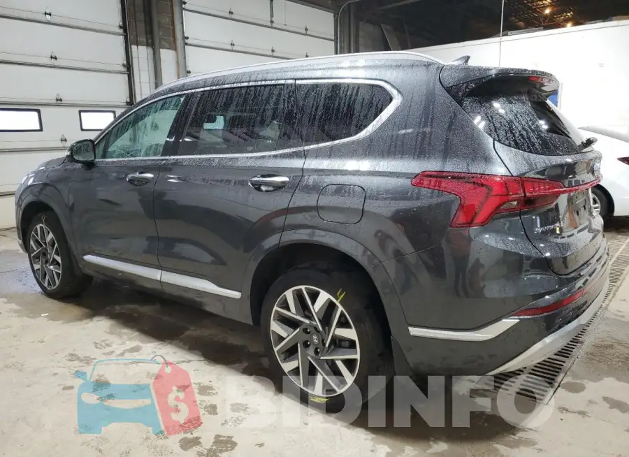 5NMS5DAL6PH511782 Photo# 2
