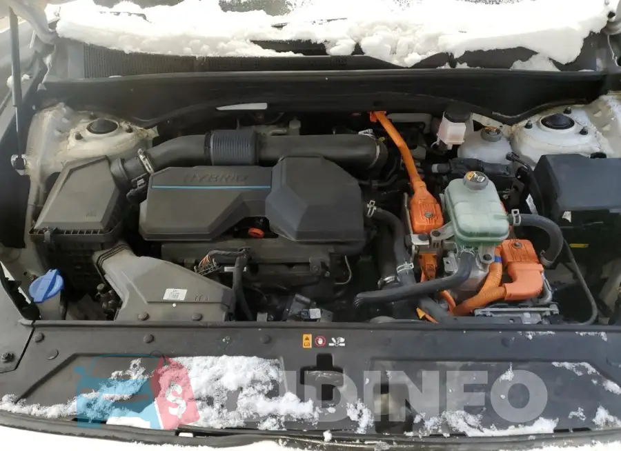 KM8S5DA12MU010435 Photo# 12