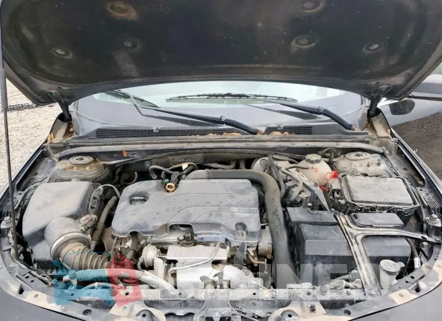 1G1ZB5ST9LF012292 Photo# 11