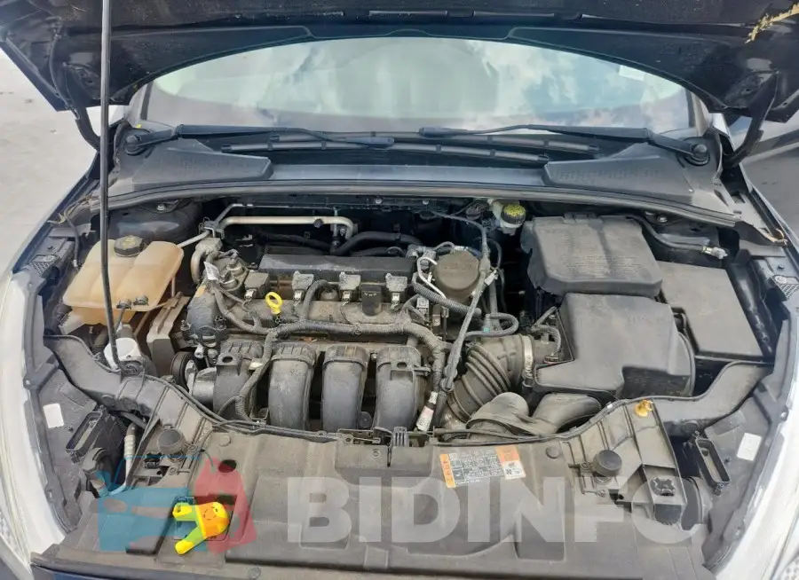 1FADP3E27GL252531 Photo# 11