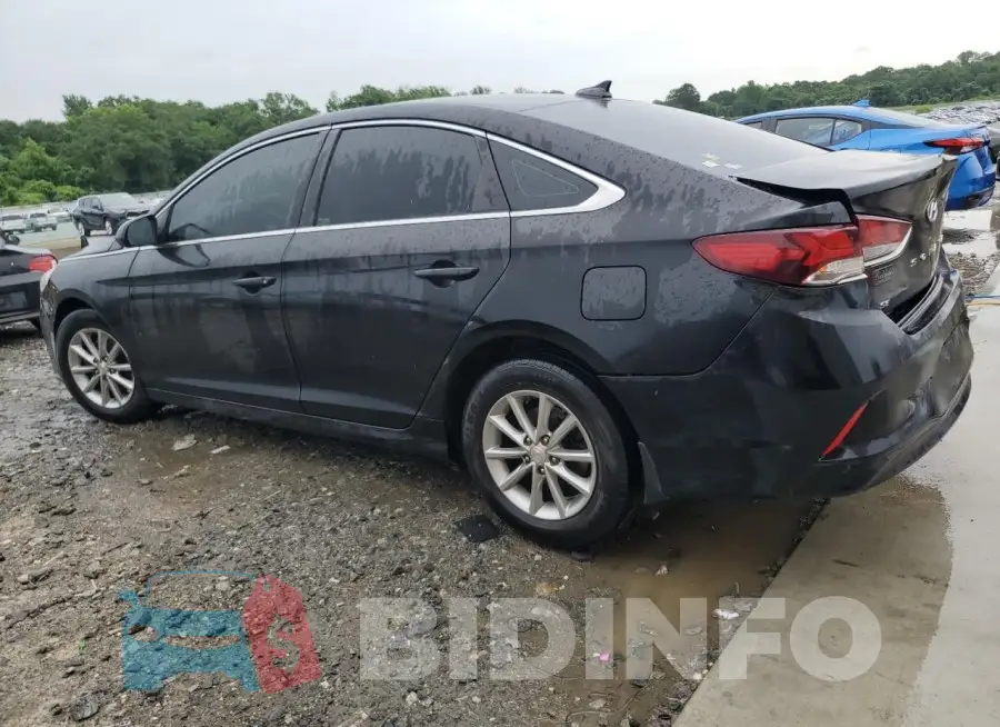 5NPE24AFXKH796353 Photo# 2