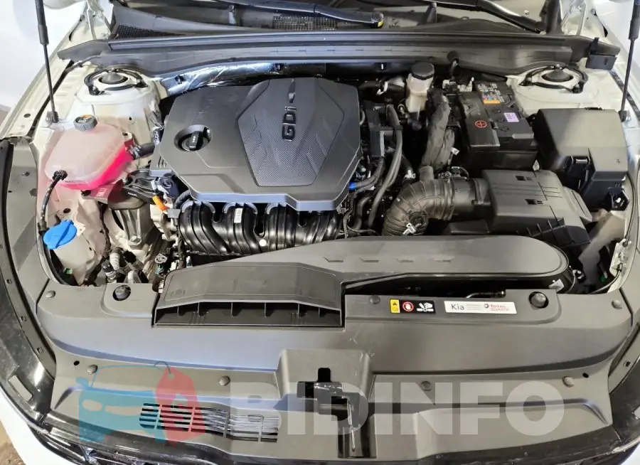 KNAG24J77S5290610 Photo# 11