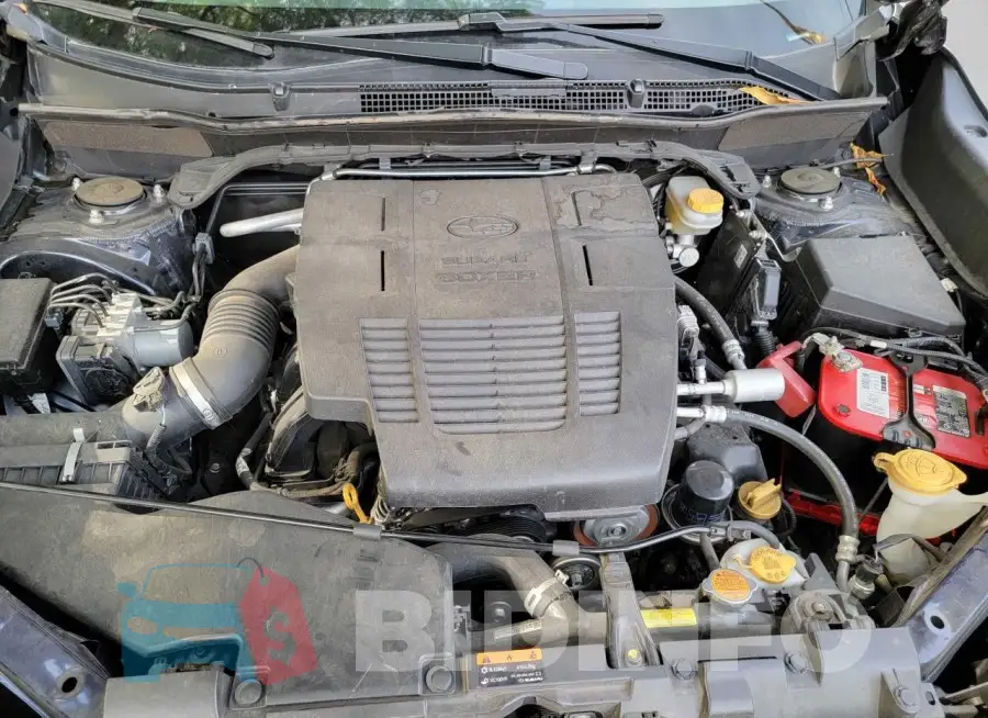 JF2SKAPC9KH450440 Photo# 7