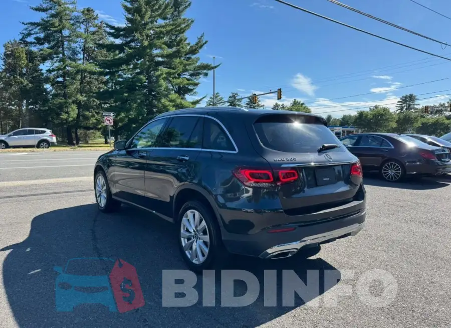 WDC0G8DB6LF673683 Photo# 4